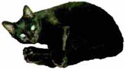 Mittens